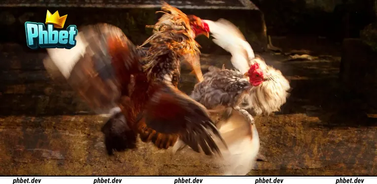 popular-bet-types-in-live-sabong-c1